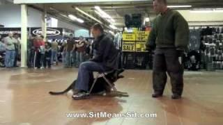 Atlanta Protection Dog Training Demonstration