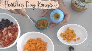 Healthy Frozen Stuffed Kongs & Dog Freezer Storage Ideas