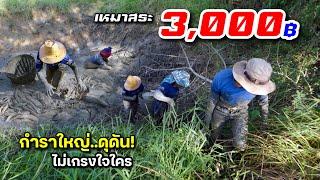 เหมาสระ 3,000 บาท ไม่ใหญ่แต่ปลาเยอะ ตัวใหญ่ดุดัน แน่นอน! /อะลางสะออน EP.1905