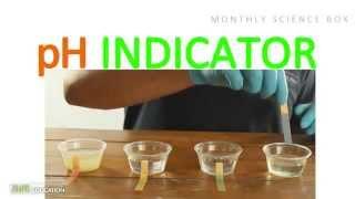 PH Indicator : Monthly Subscription Science Box Experiments for Kids