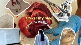 A week in medical school| Tashkent medical academy vlog| life in Uzbekistan