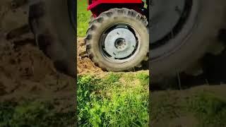 #tatar #tatarvideo #shorts #viral #massey #masseyvideo #masseylover #jat #jaat #jaatjamidar