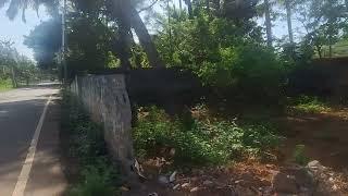 Nagercoil Tholavilai land for sales 19.75 cents  low price contact indian properties:- 8056301281