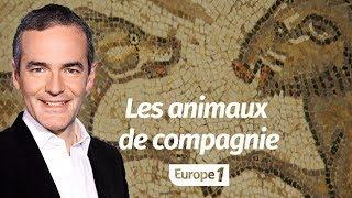 Au cœur de l'Histoire: Les animaux de compagnie de l'Antiquité à nos jours (Franck Ferrand)