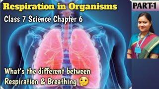 Respiration in Organisms Class 7th Science | Respiration in Organisms Class 7th NCERT | Part 1