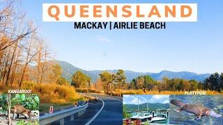 Queensland Trip 2019: Mackay | Airlie Beach | Whitsunday | Spotting a Platypus and Kangaroo