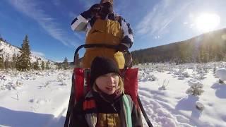 DOG SLEDDING | Adventure in Big Sky, MT