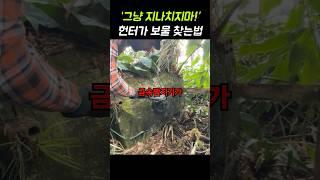 “그냥 지나치지 마!” 트레져 헌터가 보물 찾는법