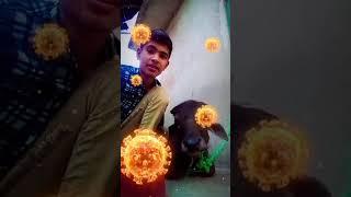 Corona virus 2 || Corona Virus || Lockdown || Axis College || PMK SUPERSTAR #pmksuperstar