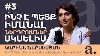 #3 Apricot talks խելացի ներդրողի փոդքասթ | Կարինե Ներսիսյան | Ի՞նչ է պետք իմանալ ներդրումներ սկսելիս