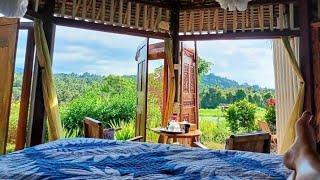 My $450 Village BUNGALOW VILLA in Sudaji Bali | Unfiltered Travels