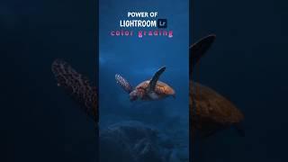 LIGHTROOM VIDEO COLOR GRANDING || Rks editor 25 ||#viralshorts #viral #photoediting