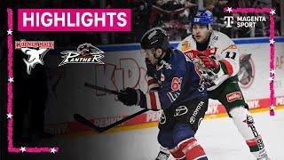 Kölner Haie - Augsburger Panther | PENNY DEL | MAGENTA SPORT