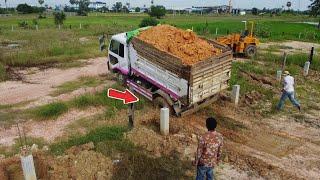 Nice Job Dump Truck 5-Ton Back uploading Overturned, Technique Dozer & rollover Fill Land