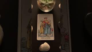 “I'm serious” | DM to DF | A message from your person | Divine Masculine love message