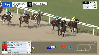 Gulfstream Park November 15, 2024 Race 5