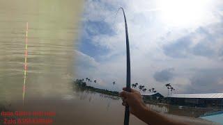 Fishing | Câu Đài | Tập 169 | Câu Cá Mè Hồ  Vườn Cau | Nghiện Câu TV