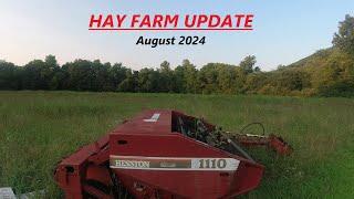 Hay Farm Update August 2024