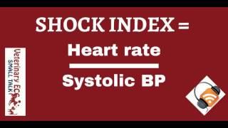 Episode 18 The Shock Index in Veterinary Patients