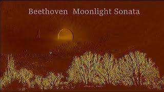 Beethoven  Moonlight Sonata