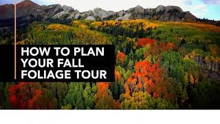 How to Plan Your Fall Foliage Tour