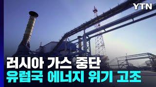 러시아 가스공급 중단 어쩌나?..."국내 주력산업 타격" / YTN
