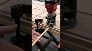 BAUMÄRKTE hassen diesen TRICK!  | Jonas Winkler #shorts #holz #tippsundtricks