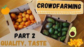 Crowdfarming Experience - Clementines, Avocado, Mango from Spain