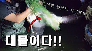 호주ep16)황소상어 출몰지역에서 해루질하니 비싼 먹거리가 가득잡힌다!?