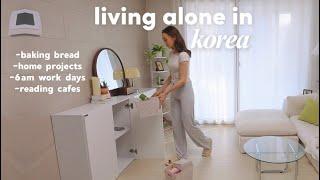 Living Alone in Korea  cabinet organizing, making korean sweet garlic bread + cozy book cafes