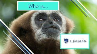 Who is Blugibbon Healthcare Recruitment?