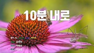 [은성 반주기] 10분내로 - 김연자