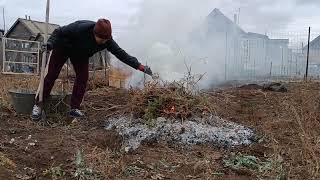 Немного порядка и к зиме готовы. Огородила саженцы от Бусемыча.