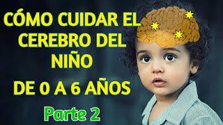 Cómo Cuidar el Cerebro de tu Niño de 0 a 6 Años - Cuidar el Cerebro en la Primera Infancia, Parte 2