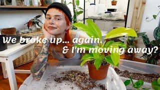 What I've Been Avoiding Talking About | Personal Life Update Repot With Me 🪴