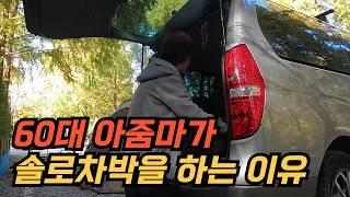 60대 아줌마 솔로 차박 하는 이유가 있습니다ㅣ가을에 차박 여행하기 좋은 메타쉐콰이어 길