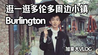 VLOG：逛一逛多伦多周边的美丽小镇——Burlington   A trip at the town Burlington