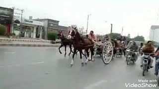 taj vs sudeer race today 28/12/2022   horse ka mela Karachi horse race