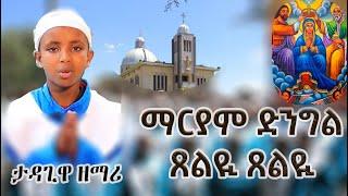 ማርያም ድንግል ጸልዪ ጸልዪ | አማልጂን ኪዳነ ምህረት ዳግመኛ እንዳንሞት | እንድናገኝ ሰላም