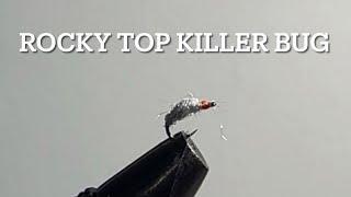 Rocky Top Killer Bug