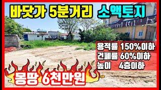 [강추] 바닷가 5분 소액 토지매매 부담없이 매입해 바닷가 주택 지을 땅 부동산 매매 포항부동산 청하면 용두리 #착한부동산tv