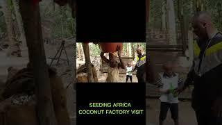 Experience the Future of Sustainable Farming: Seeding Africa's Coconut Factory Farm Visit