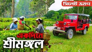 Sreemangal Tour | শ্রীমঙ্গল ভ্রমণ | শ্রীমঙ্গল দর্শনীয় স্থান | Moulvibazar Sylhet | Ohab Traveler