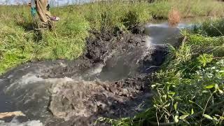 Closest Beaver Dam Collapse!