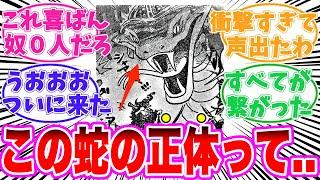 【最新1128話】蛇の神様が実は〇〇だと気がついてしまった読者の反応集【ワンピース】