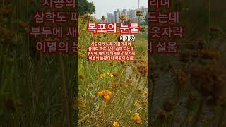 목포의 눈물  #이미자#이난영#트로트#1935이난영인생곡#일제시대대표유행곡
