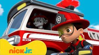 Psi Patrol | Najtrudniejsze misje ratunkowe PSIEGO Patrolu! Z Chase'em i Marshallem | Nick Jr.