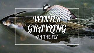 How to catch Winter Grayling | Euronymphing | River Clyde