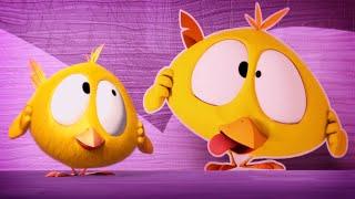 Where's Chicky?  FUNNY FACE | Chicky Cartoon in English for Kids