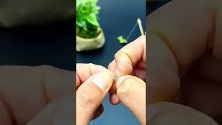 How to stabilize the line:Fishing with small running lead  #fishingtackle  #fishingtip  #fishinggear